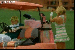 animace5.gif